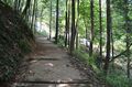 Thumbnail for version as of 13:32, 24 June 2017