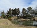 Yanagawa5.jpg