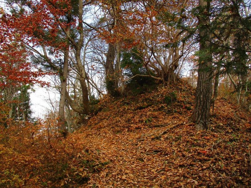 File:AdzumiIimorijou (11).jpg