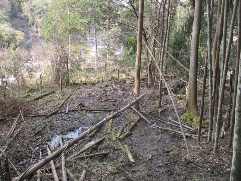File:AsukeKesadairajou (4).jpg