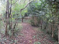 ChikuzenFukutakejou (7).JPG