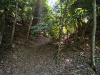 Haiyama4.jpg