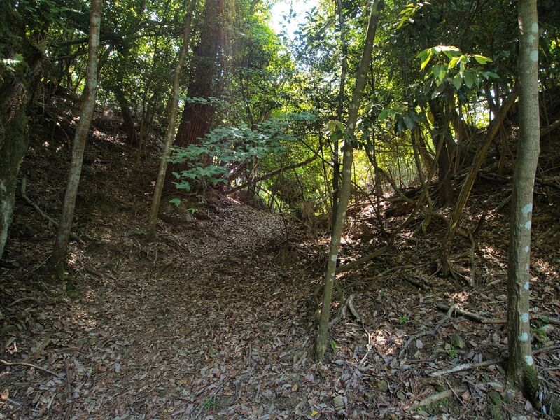 File:Haiyama4.jpg