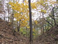 HanishinaFurujouyamajou (2).jpg