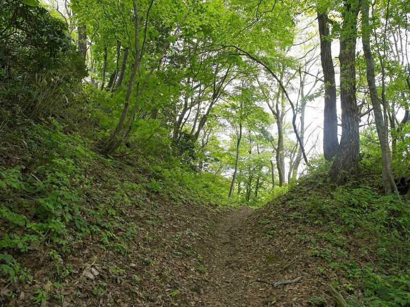File:Ichijodani-yamajiro36.jpg