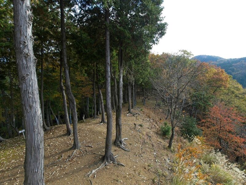 File:Kamaha24.jpg