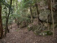 Kannosankyoto9.jpg