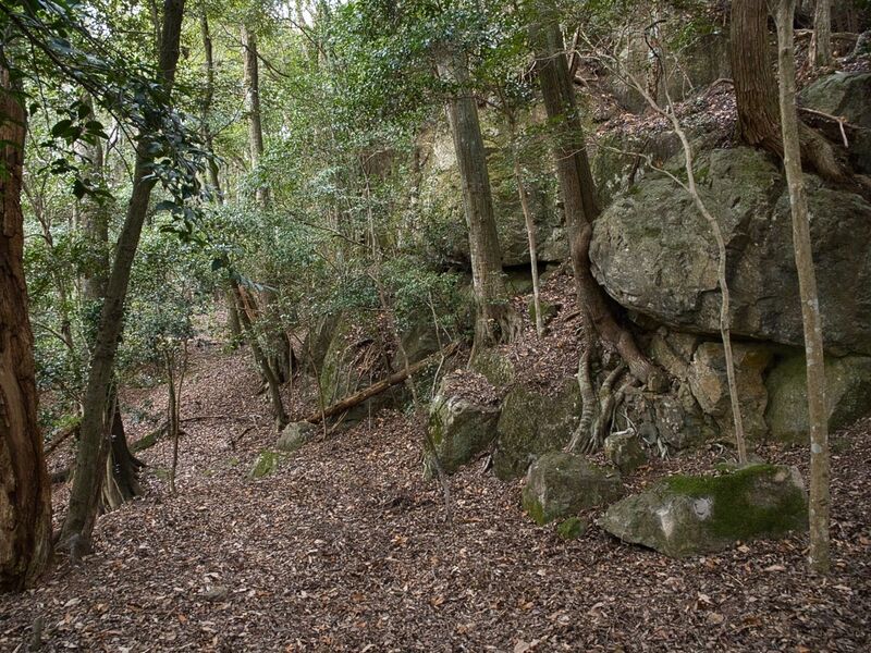 File:Kannosankyoto9.jpg