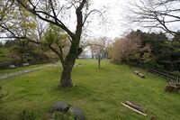 Kawamura11.jpg