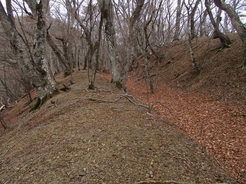 File:MisakajouB (4).jpg