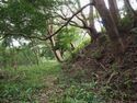 Odawara sogamae33.jpg