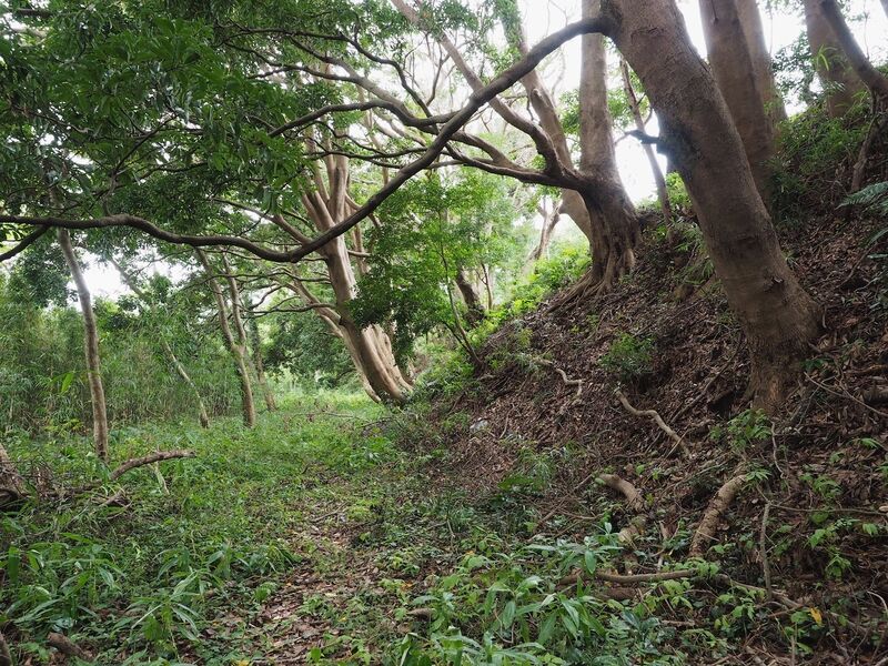File:Odawara sogamae33.jpg