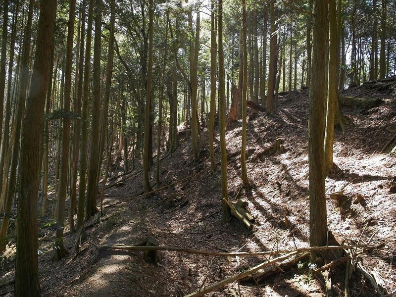 File:Tsuchiyamakoka20.jpg