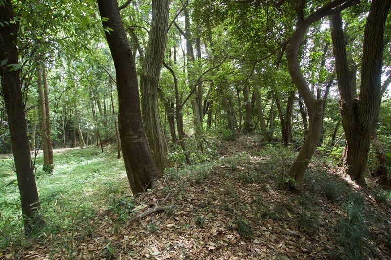 File:Ushiku23.jpg