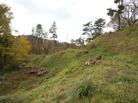 Hiyama14.jpg