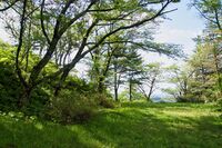 Kakunodate110.jpg