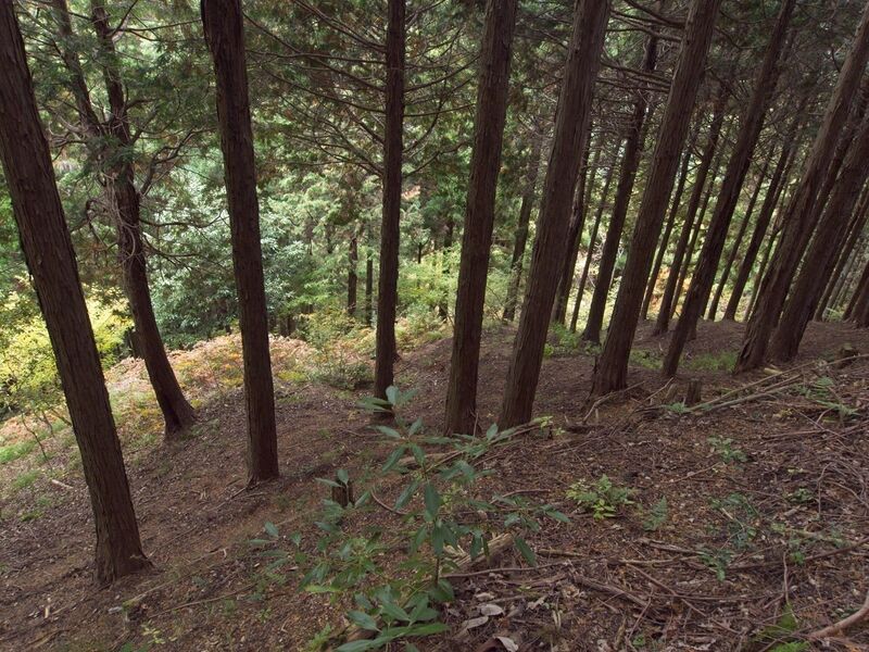 File:Kamaha59.jpg