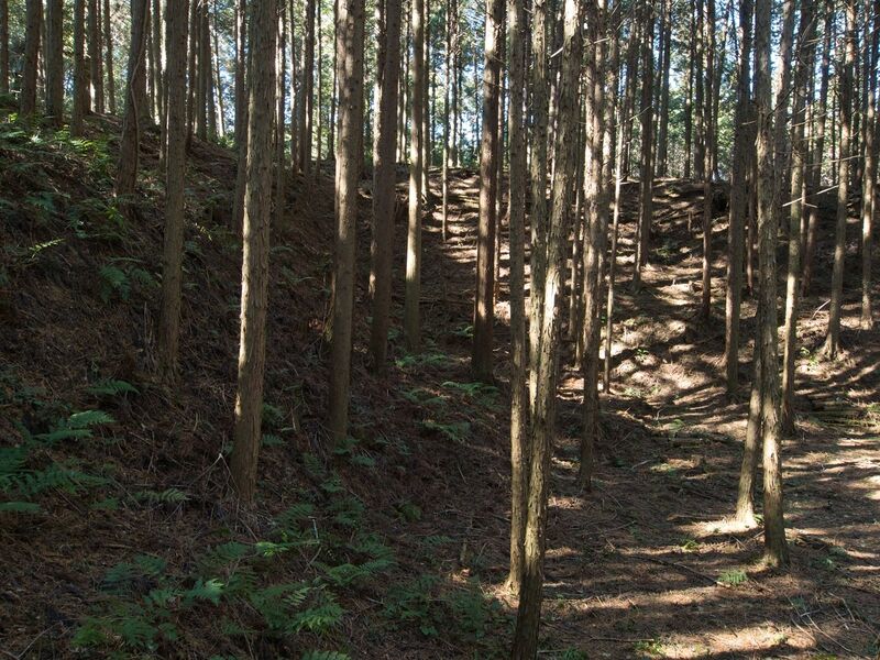 File:Kokashingushi16.jpg
