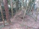 MinamiSakaidejou (12).JPG