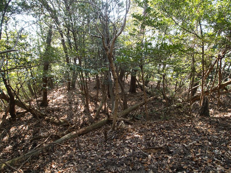 File:Shogunyama11.jpg