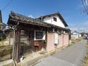 Tsubaihikone3.jpg
