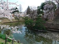 Ueda12.jpg