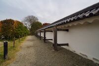 Yamagata30.jpg