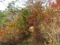 Thumbnail for version as of 22:05, 12 January 2020