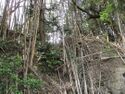 MikawaOhhatajou (3).jpg