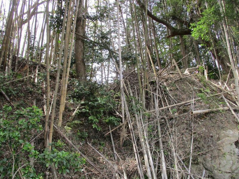 File:MikawaOhhatajou (3).jpg