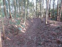 MinamiSakaidejou (23).JPG