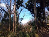 MusashiTobukijou (9).jpg