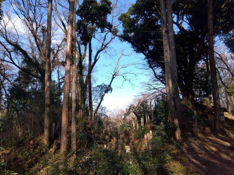 File:MusashiTobukijou (9).jpg