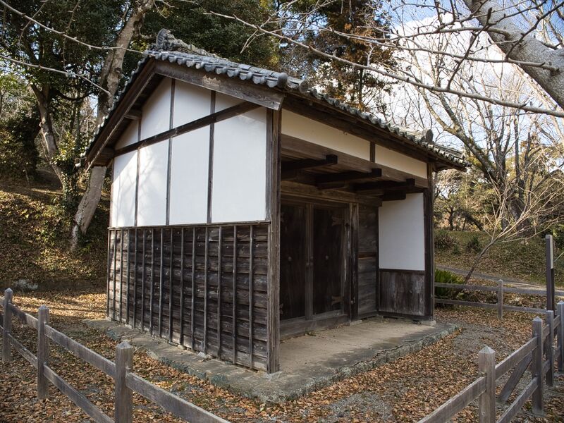 File:Tamarufujimi 1.jpg