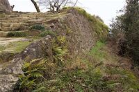 Uwajima10.jpg