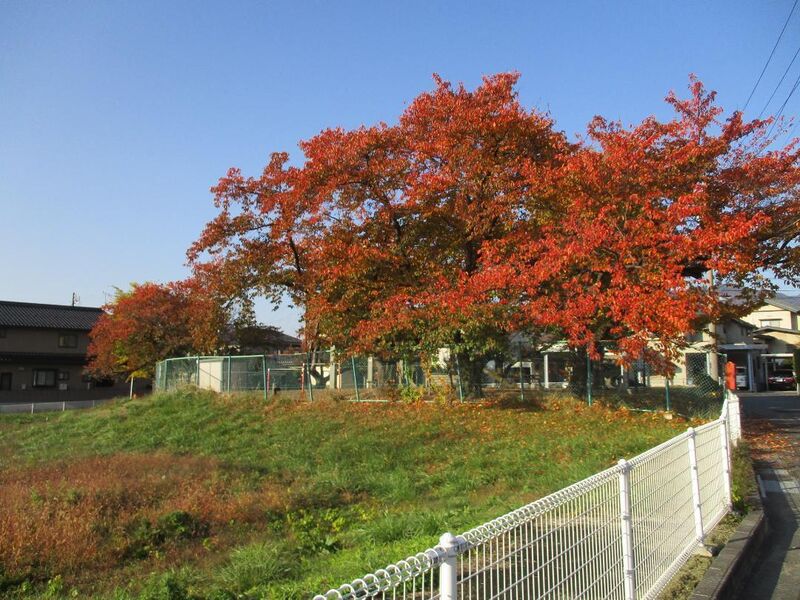 File:Wakatsukisatojou (5).jpg