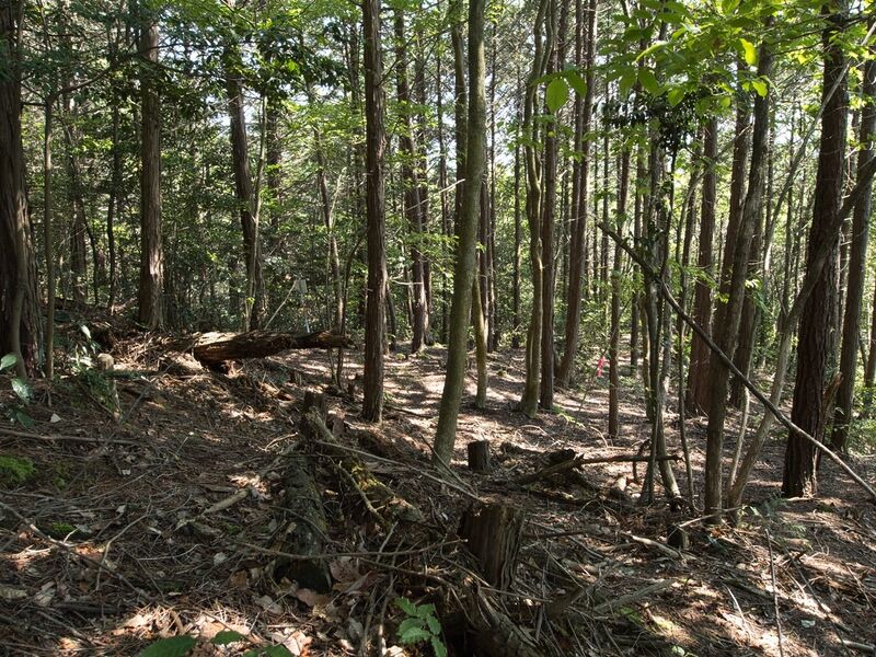 File:Yuhigaoka15.jpg