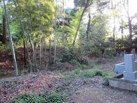 Kawawada (1).JPG