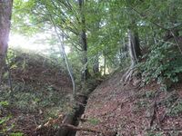 KitaKumai (2).JPG