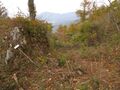 Thumbnail for version as of 21:35, 22 December 2020
