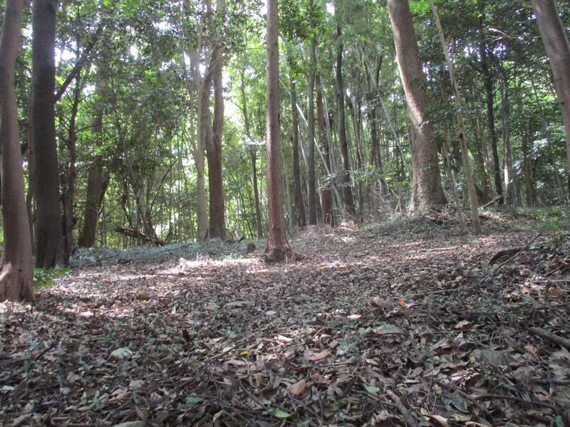 File:NukataKubotajou (4).jpg