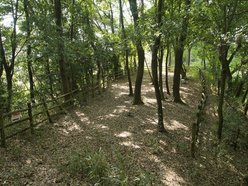 File:Ohtawara28.jpg