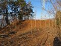 Thumbnail for version as of 07:13, 29 April 2020