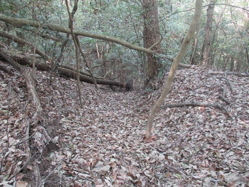 File:Taburijou (4).jpg