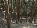 Tedori37.jpg