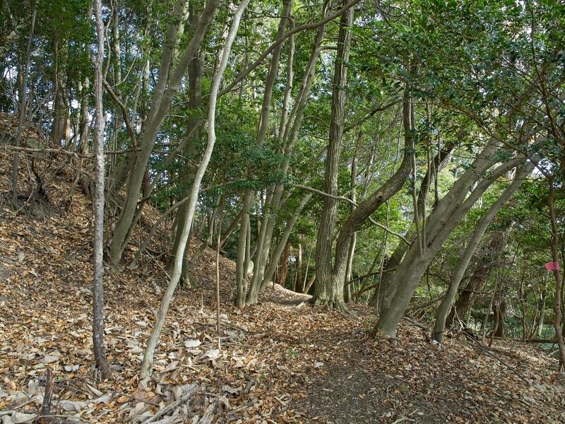 File:Usayama21.jpg