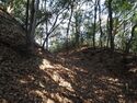 Yamana25.jpg