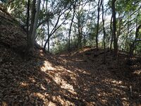 Yamana25.jpg