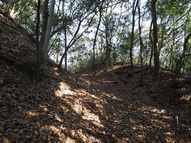 File:Yamana25.jpg