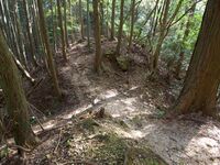 Yoshidakoriyama63.jpg